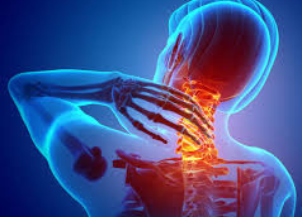 untitled design 2026 02 18t113054.105