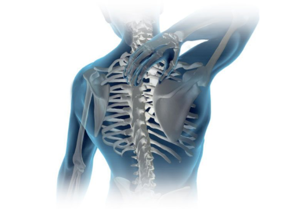 untitled design 2026 02 18t114452.264