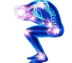 image removebg preview (80)